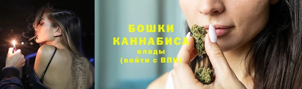 крисы Володарск