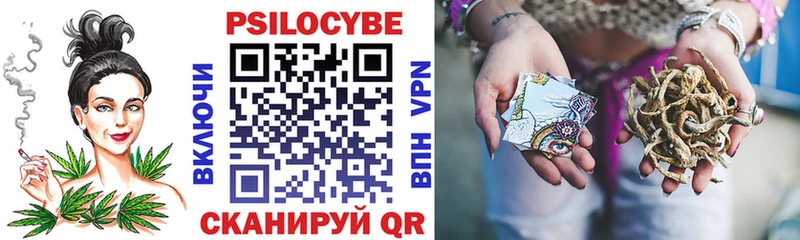 где можно купить   Белгород  Галлюциногенные грибы GOLDEN TEACHER 